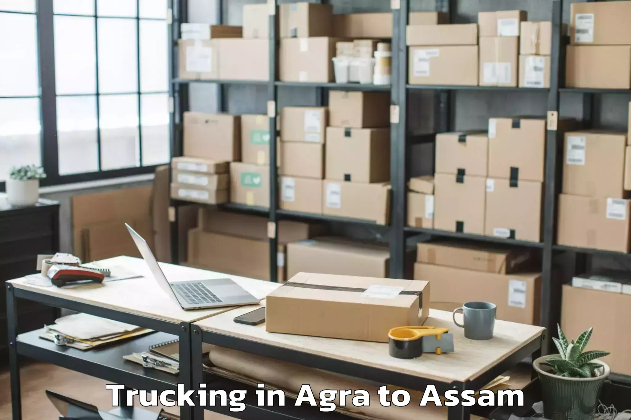 Professional Agra to Baihata Trucking